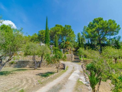 Villa Can Bolei - Villa With Private Pool In Sant Elm - Environment photo 33