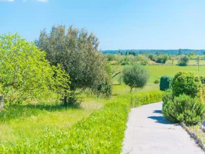 Holiday house Casa Holganza - House In Maria De La Salut - Environment photo 24