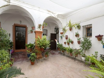 Apartment Casa Cuna - Apartment In Arcos De La Frontera in Cadiz - Costa de la Luz - Apartment