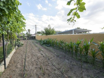 Holiday house Rincon De La Huerta - Haus Mit Privatem Pool - Environment photo 35
