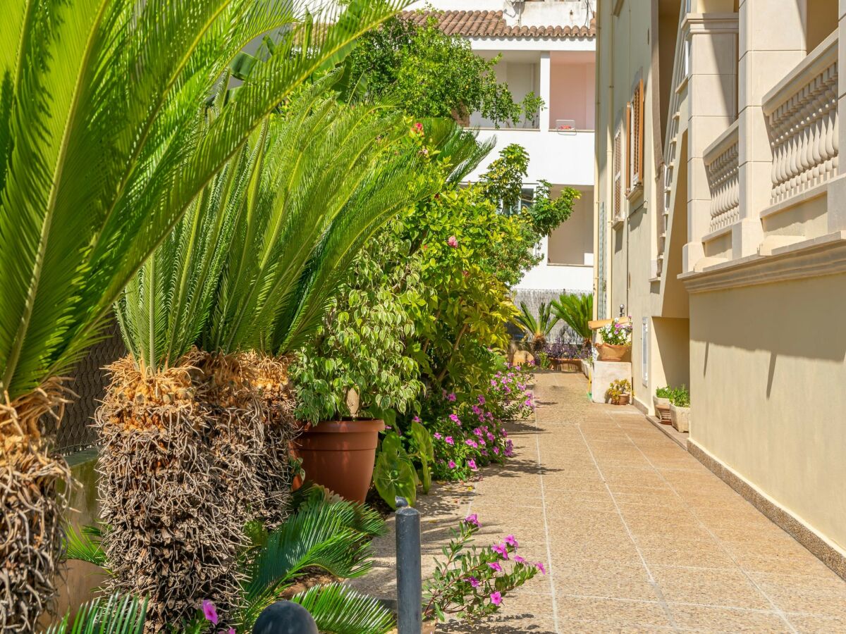 Apartment Llepol - Apartment In Port D'alcúdia. Wifi Gratis - Outdoor photo 4