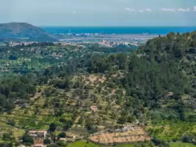 Holiday house Casa Vella (vall Petit) - House With Free Wifi - Environment photo 31