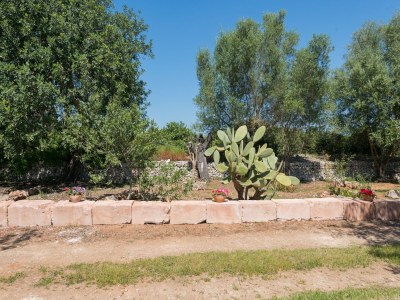 Villa Can Rafalino - Villa With Private Pool In Inca - Environment photo 28