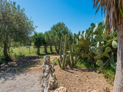 Villa Can Rafalino - Villa With Private Pool In Inca - Environment photo 29