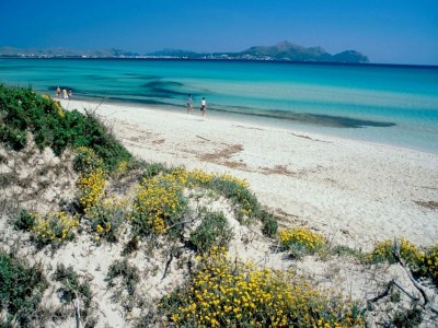 Apartment Al Pujol - Apartment In Port D'alcúdia. Free Wifi - Environment photo 25