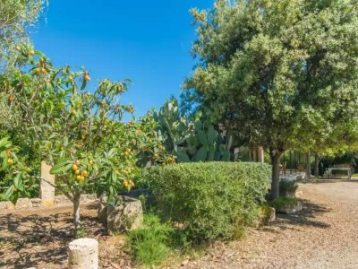 Villa Can Mostatxet - Ferienhaus Mit Privatem Pool - Environment photo 33