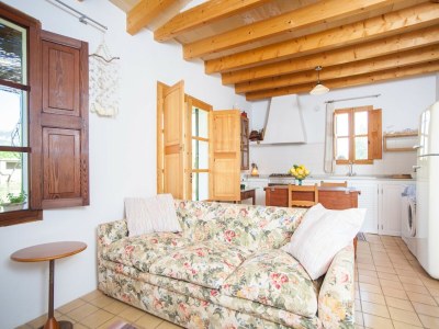 Villa Ses Planes (ca Na Faustina) - Villa With Pool - Features photo 8