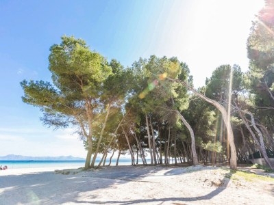 Holiday house Pinya - Haus In Port D'alcúdia. Wifi Gratis - Outdoor photo 21