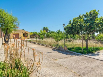 Holiday house Sa Raconada - Country House In Algaida. Free Wifi - Environment photo 26