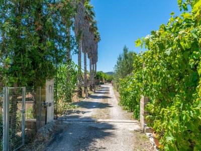 Villa Es Garballons - Villa With Private Pool In Manacor - Environment photo 23