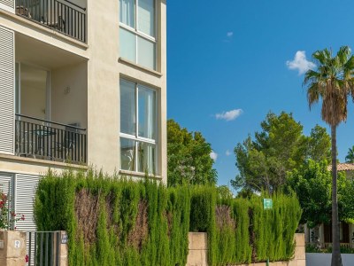 Apartment Mirella - Apartment In Habitat. Wifi Gratis - Outdoor photo 30