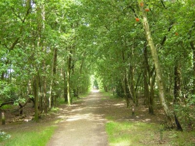 Holiday park Wemeldinge Gruppenretreat - Environment photo 30