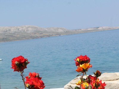 Apartment Studio flat near beach Metajna, Pag AS-6497-b - Outdoor photo 7