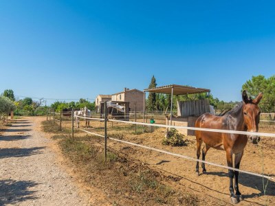 Holiday house Lo D'en Creus - Ferienhaus In Campos. Wifi Gratis - Outdoor photo 20
