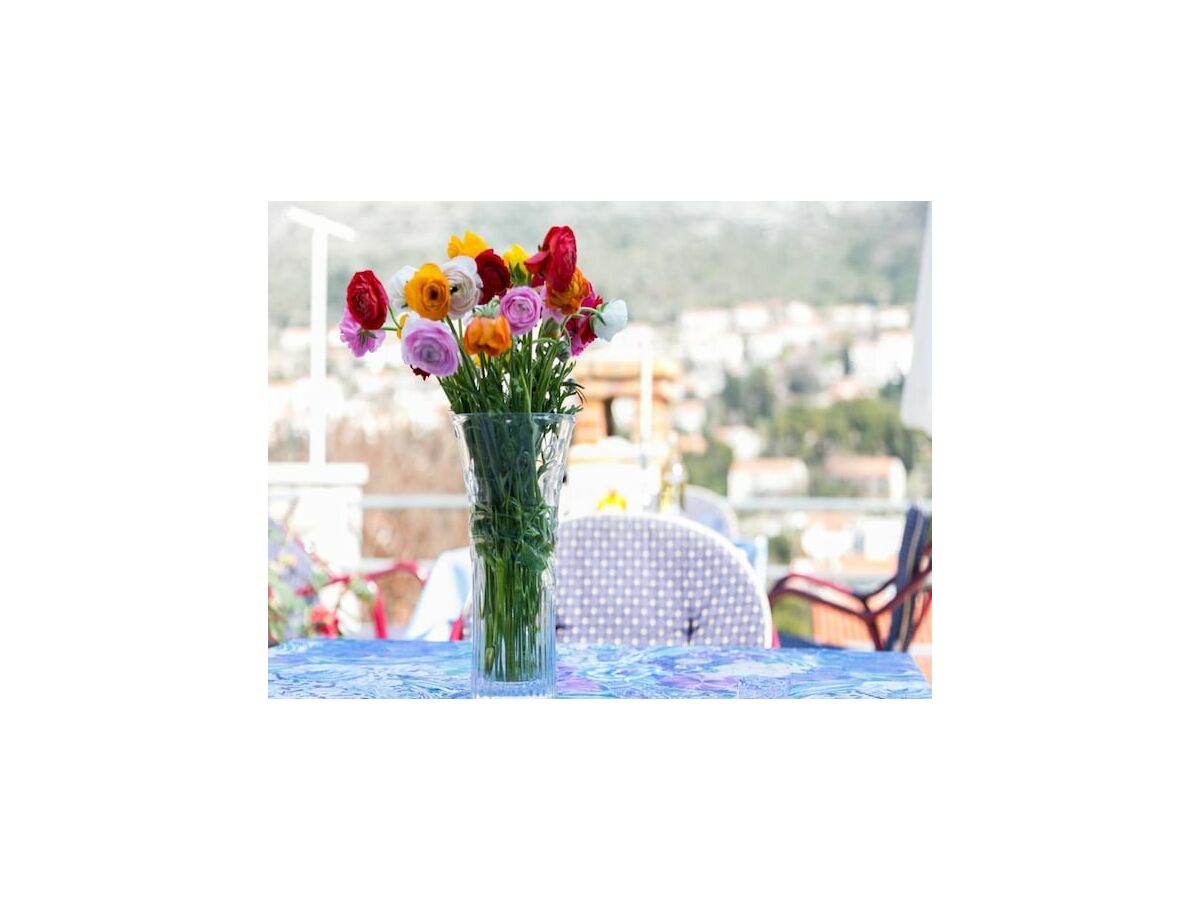 Apartment Guest House Raguz - Double Room - 4