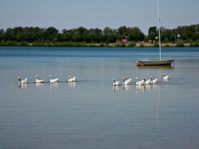 Holiday park Stylish Villa by the Lake - Environment photo 18