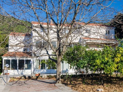 Apartment Two bedroom apartment with terrace Žuljana, Pelješac A-4574-b - Outdoor photo 2