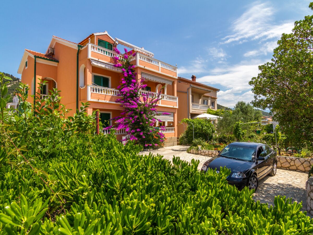 Apartment One bedroom apartment with terrace and sea view Barbat, Rab A-20080-c