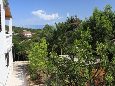 Apartment Two bedroom apartment with terrace and sea view Cove Zarace (Gdinj), Hvar A-4597-a - Outdoor photo 10