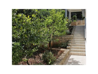 Apartment Two bedroom apartment with terrace and sea view Cove Zarace (Gdinj), Hvar A-4597-a - Outdoor photo 14