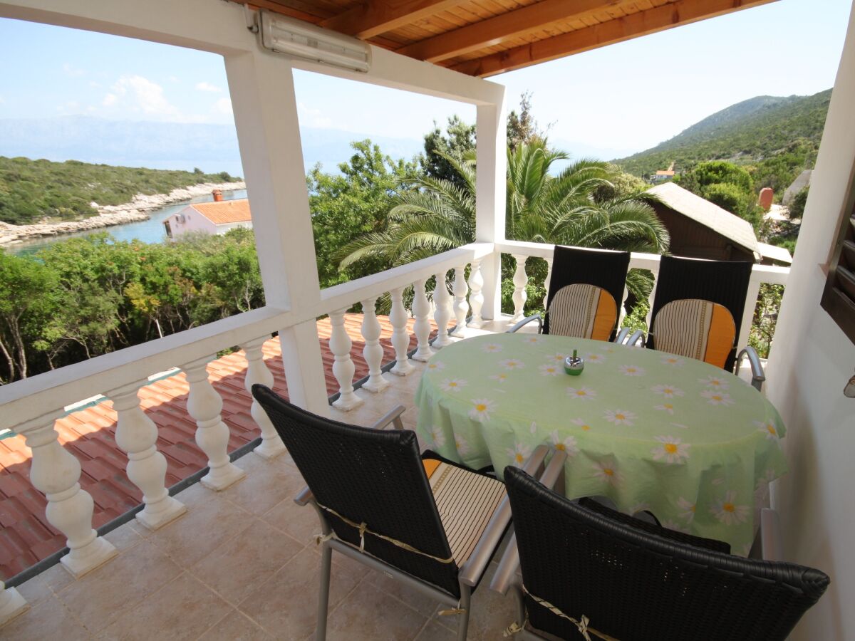 Apartment Two bedroom apartment with terrace and sea view Cove Zarace (Gdinj), Hvar A-4597-d