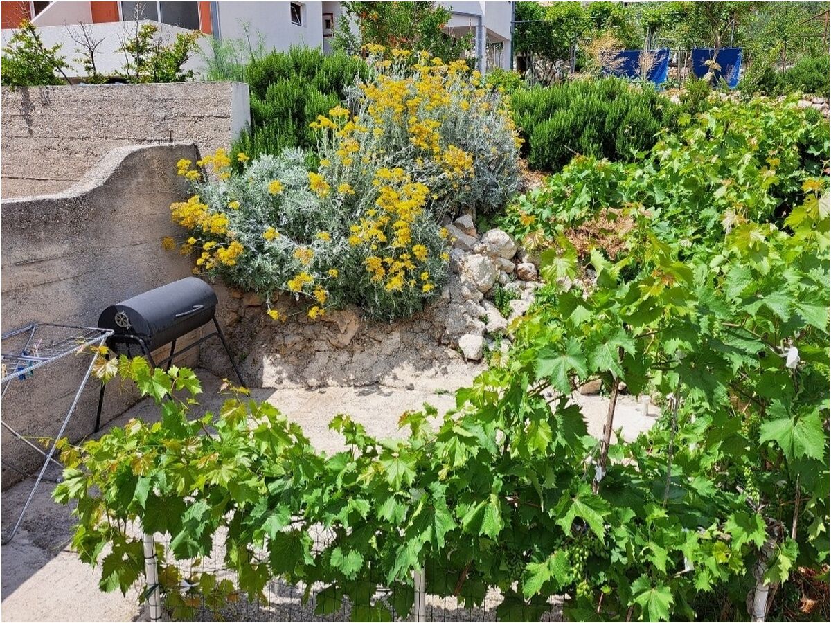 Apartment One bedroom apartment near beach Igrane, Makarska A-21577-a - Outdoor photo 4