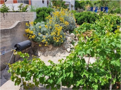 Apartment One bedroom apartment near beach Igrane, Makarska A-21577-a - Outdoor photo 4