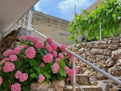 Apartment One bedroom apartment near beach Igrane, Makarska A-21577-b - Outdoor photo 3