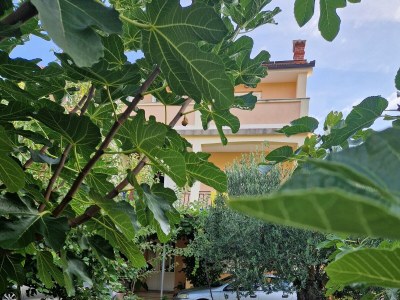 Apartment Two bedroom apartment with balcony Lopar, Rab A-24754-c - Outdoor photo 6
