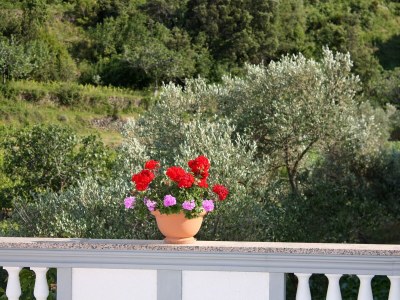 Apartment Studio flat with terrace Supetarska Draga - Donja, Rab AS-2022-a - Outdoor photo 12
