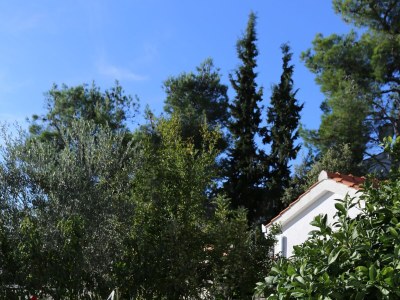 Apartment Two bedroom apartment near beach Rogoznica A-10338-a - Outdoor photo 8