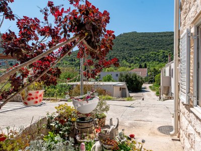 Holiday room (pet friendly) Mali Ston, Pelješac S-14434-a - Outdoor photo 9