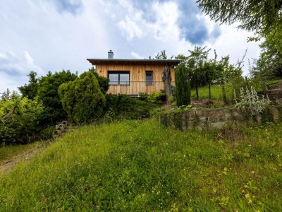 Holiday house Holiday Home in Thale - Neinstedt - Outdoor photo 6