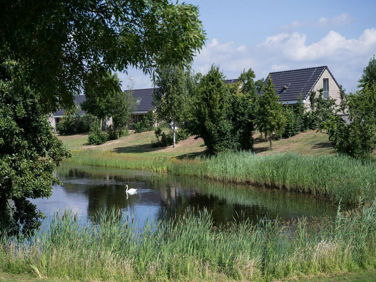 Holiday park Schwanzwedelnde Flucht zum See
