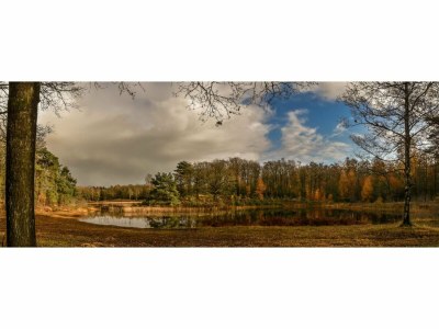 Holiday park Cozy 6-person lodge by the fishing pond. - Environment photo 15
