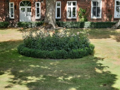 Holiday apartment Ferienwohnung Clara Hof Döttgebüll - Outdoor photo 3