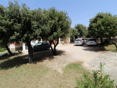 Apartment One bedroom apartment with terrace Mandre, Pag A-6418-d - Outdoor photo 10