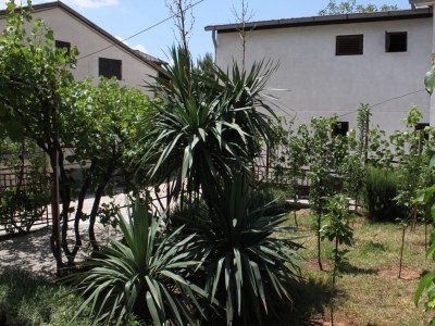 Apartment Studio flat with balcony and sea view Starigrad, Paklenica AS-6431-b - Outdoor photo 8