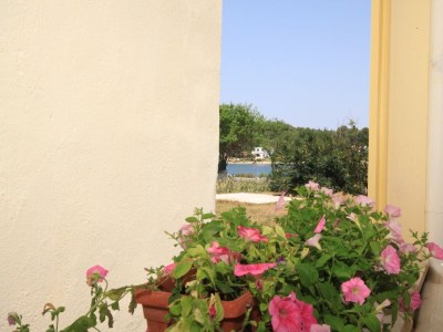 Apartment Two bedroom apartment near beach Veli Rat, Dugi otok A-437-b - Outdoor photo 10