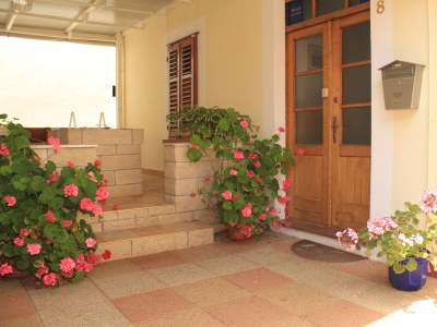 Apartment Two bedroom apartment near beach Veli Rat, Dugi otok A-437-b - Outdoor photo 12