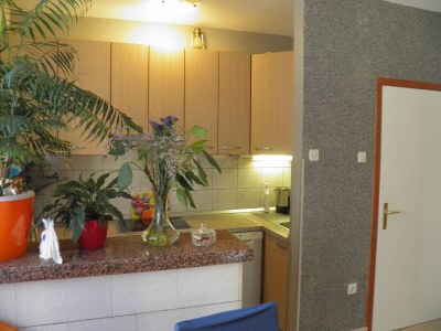 Apartment Two bedroom apartment with terrace Mirca, Brač A-2838-b - Outdoor photo 11