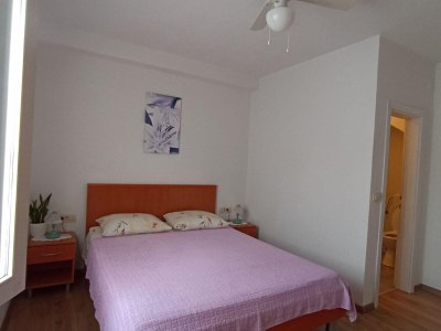 Apartment Two bedroom apartment with terrace Orebić, Pelješac A-16448-a - Outdoor photo 24