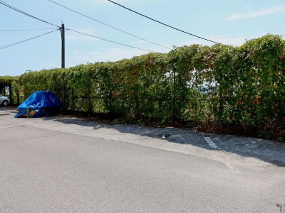 Apartment One bedroom apartment with terrace and sea view Dramalj, Crikvenica A-5592-d - Outdoor photo 11