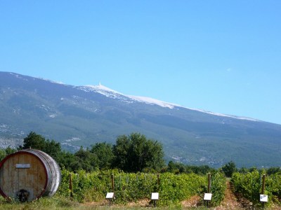 Holiday house holiday home in Puyméras with garden - Environment photo 22