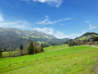 Apartment Dog-friendly holiday apartment in Bregenzerwald - Environment photo 19
