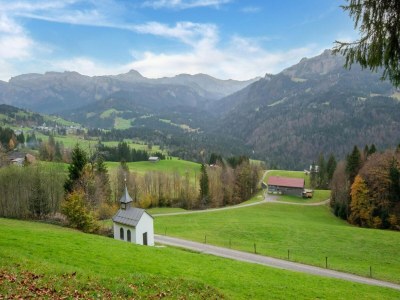 Apartment Dog-friendly holiday apartment in Bregenzerwald - Environment photo 21