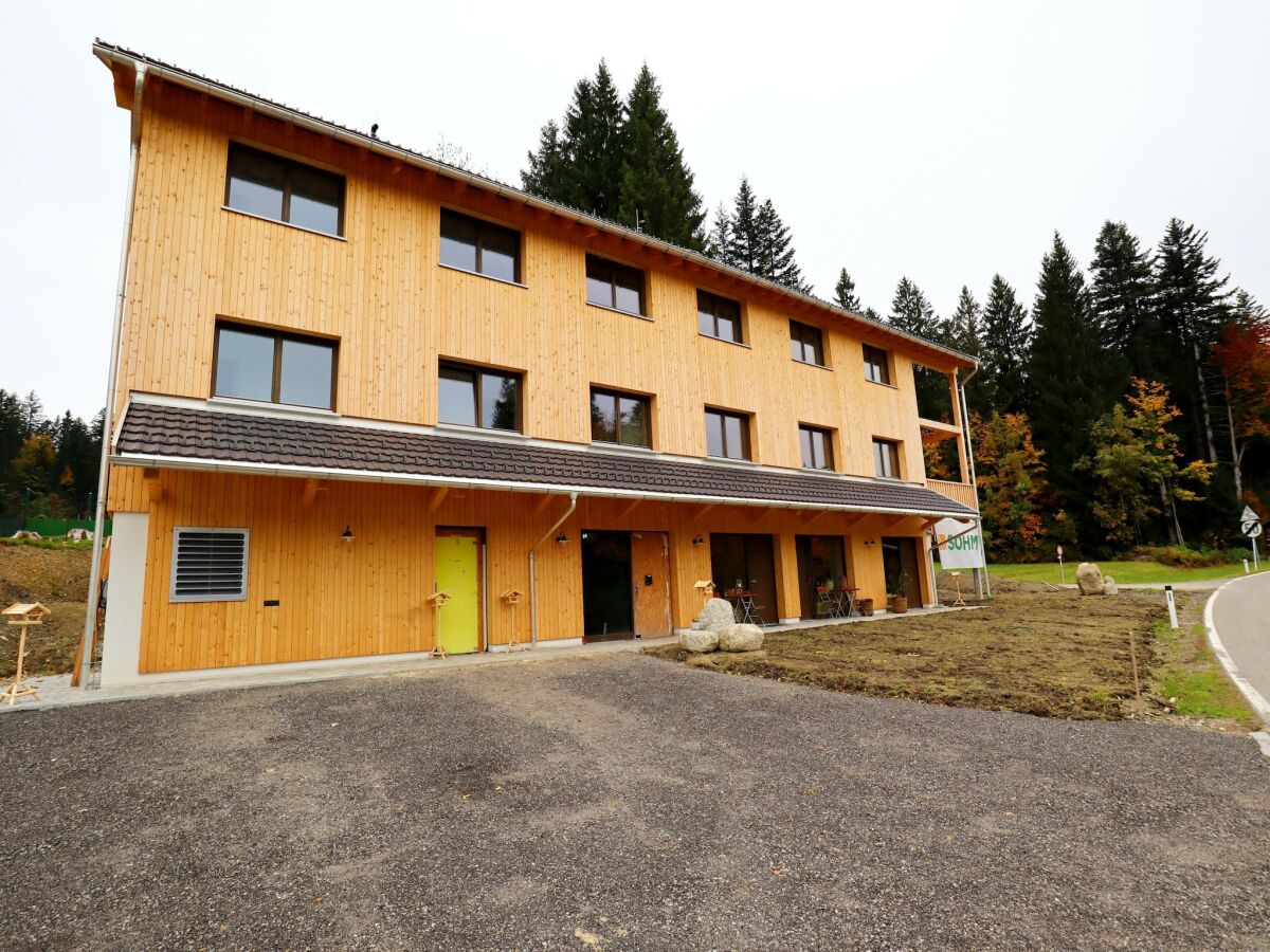 Apartment Dog-friendly holiday apartment in Bregenzerwald - Outdoor photo 3