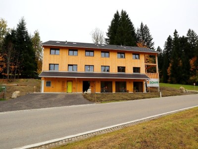 Apartment Dog-friendly holiday apartment in Bregenzerwald in Hittisau - Apartment