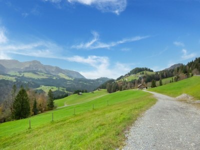 Apartment Dog-friendly holiday apartment in Bregenzerwald - Environment photo 25