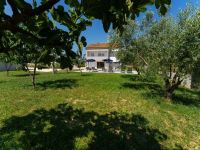 Holiday house Villa with Pool and Sauna in Galovac - Outdoor photo 7